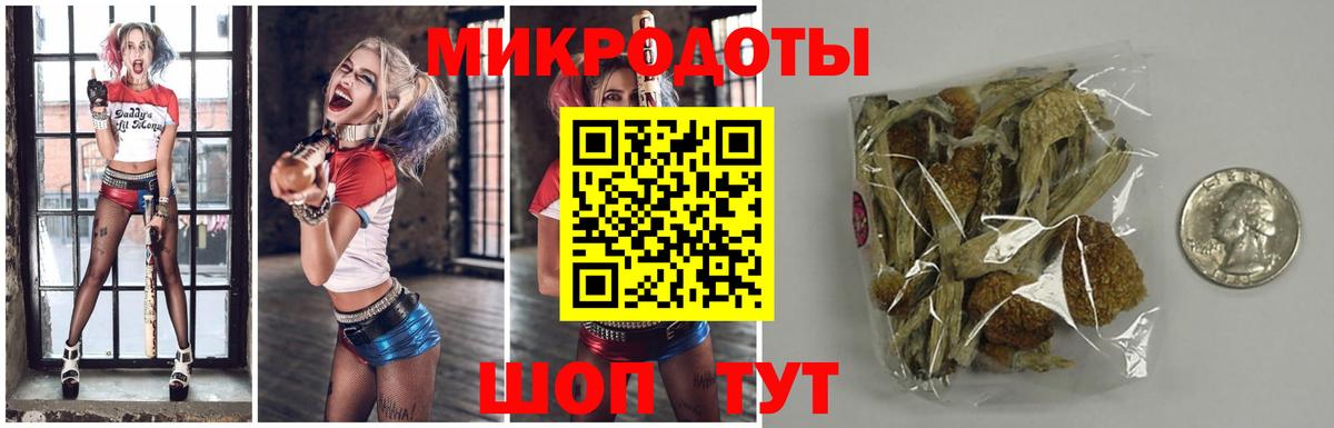 Псилоцибиновые грибы мухоморы  цена наркотик  Черногорск  Вход с VPN 